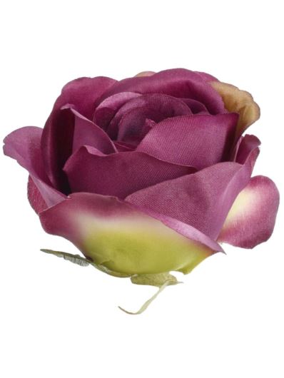 RÓŻA MGHT GŁÓWKA 9CM DIRTY DR VIOLET