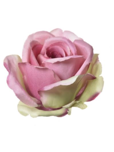 RÓŻA MGHT GŁÓWKA 9CM DR PINK GREEN