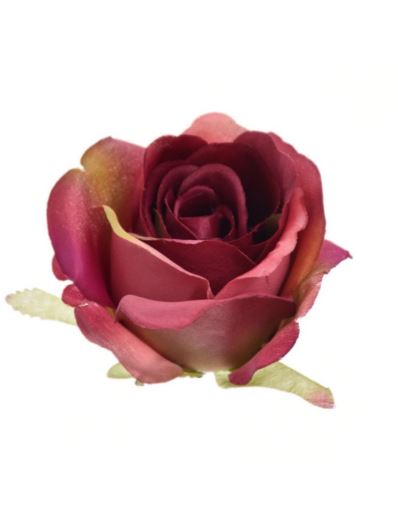 RÓŻA MGHT GŁÓWKA 9CM RASPBERRY GREEN