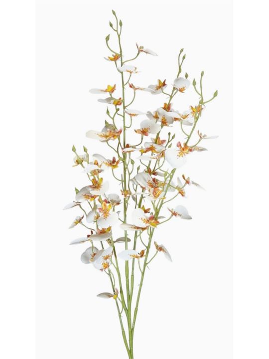 STORCZYK ONCYDIUM 92CM CV34925 RT WHITE