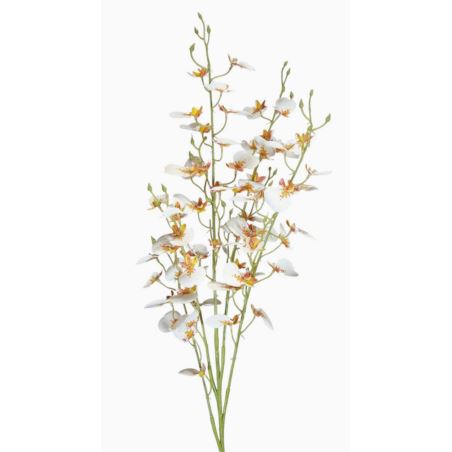 STORCZYK ONCYDIUM 92CM CV34925 RT WHITE