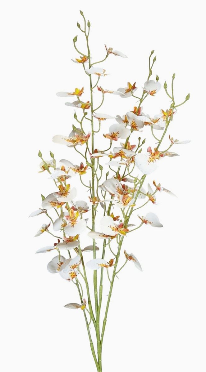 STORCZYK ONCYDIUM 92CM CV34925 RT WHITE