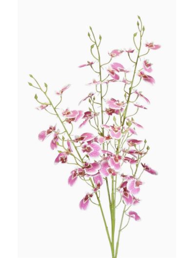 STORCZYK ONCYDIUM 92CM CV34925 RT PINK