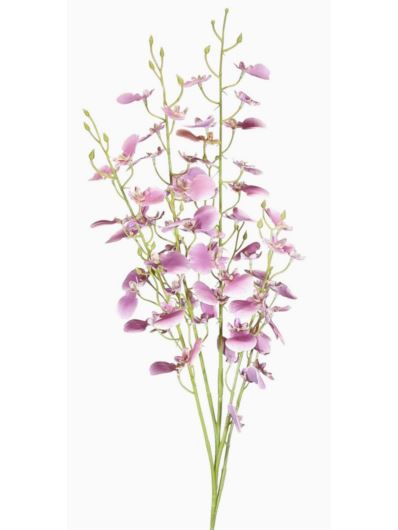 STORCZYK ONCYDIUM 92CM CV34925 RT MAUVE