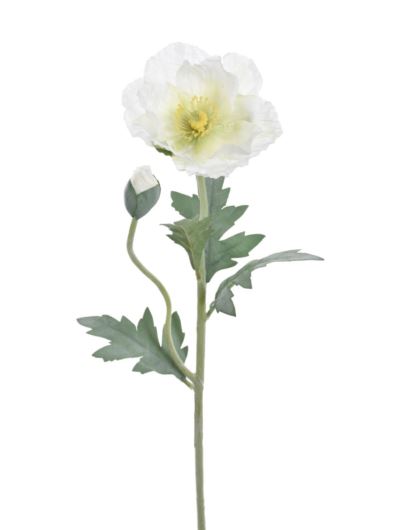 MAK POJEDYNCZY 70CM REN2001 (1) WHITE
