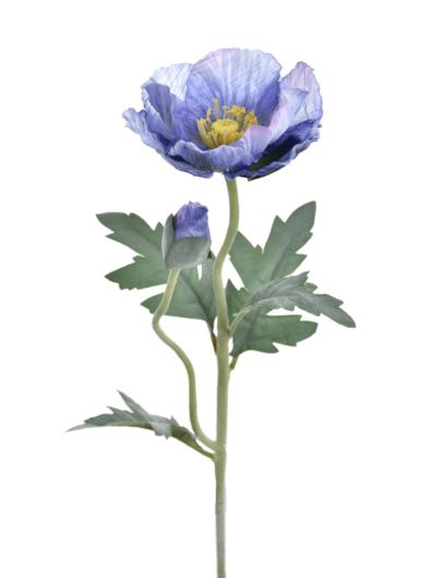 MAK POJEDYNCZY 70CM REN2001 (1) BLUE VIOLET