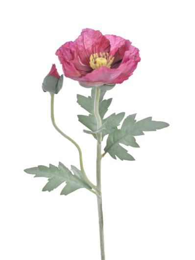 MAK POJEDYNCZY 70CM REN2001 (1) FUCHSIA