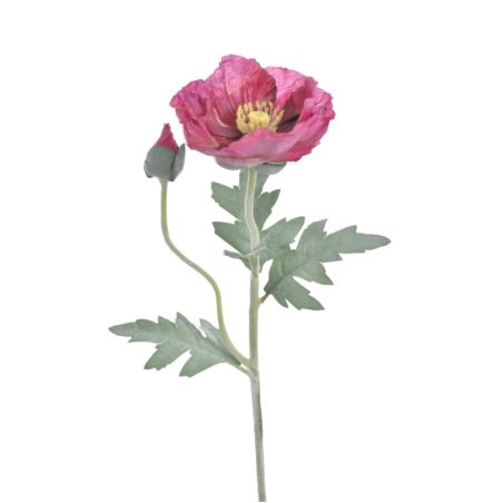 MAK POJEDYNCZY 70CM REN2001 (1) FUCHSIA