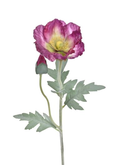 MAK POJEDYNCZY 70CM REN2001 (1) PURPLE