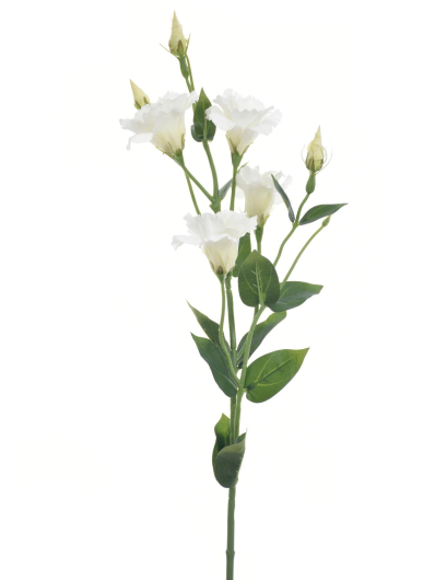 EUSTOMA GAŁĄZKA 83CM SUN345 WHITE