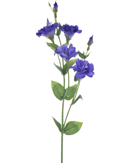 EUSTOMA GAŁĄZKA 83CM SUN345 DR.BLUE