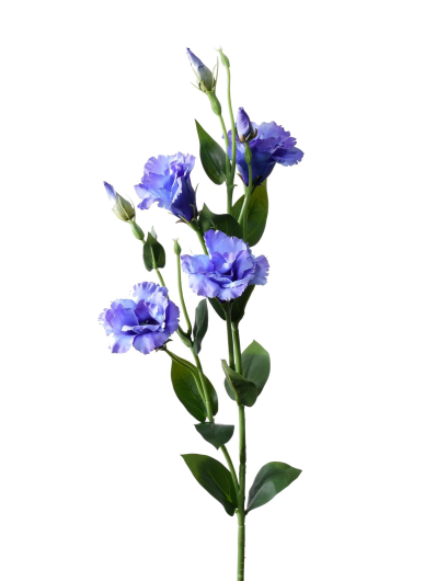 EUSTOMA GAŁĄZKA 83CM SUN345 BLUE