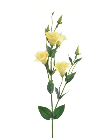 EUSTOMA GAŁĄZKA 83CM SUN345 LT YELLOW EDGE PINK