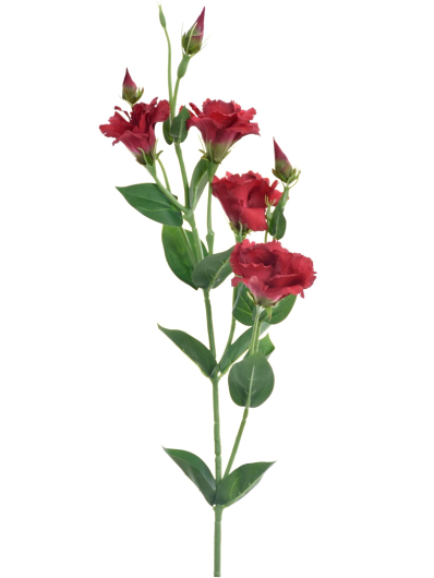 EUSTOMA GAŁĄZKA 83CM SUN345 RED GREEN