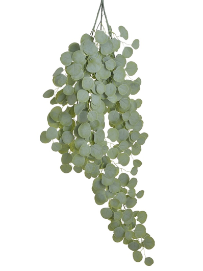 EUKALIPTUS ZWIS DUŻY 120CM  POWDER GREEN