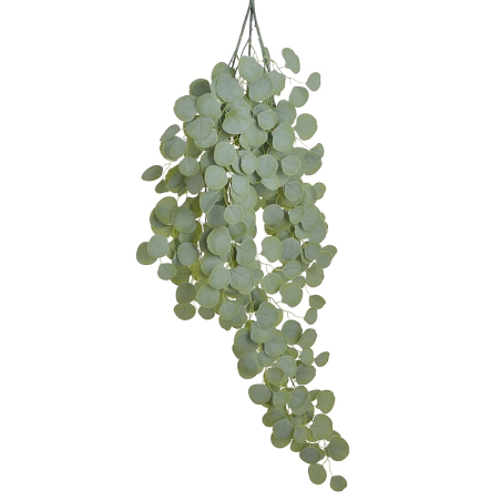 EUKALIPTUS ZWIS DUŻY 120CM  POWDER GREEN