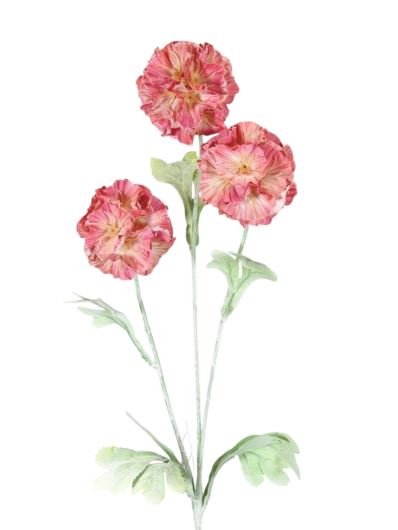 PIERWIOSNEK ZĄBKOWANY ŁODYGA FLOK 70CM CORAL GREEN