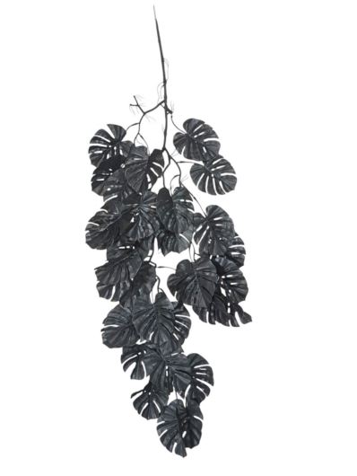 MONSTERA ZWIS 95cm BLACK
