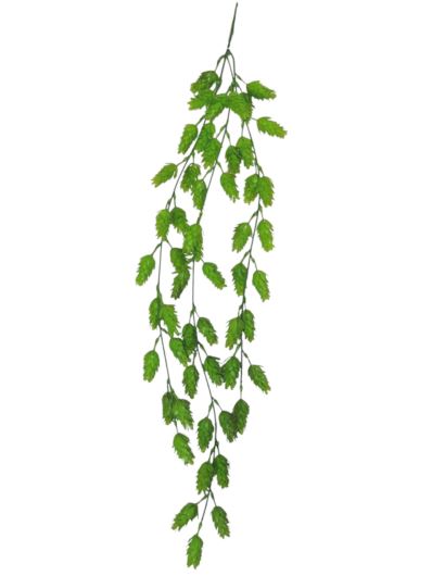 CHMIEL SZYSZKI CHMIELU ZWIS 72CM GREEN