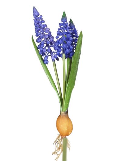 SZAFIREK Z CEBULKĄ  X3 BUKIET GUMA 20CM ULTRA VIOL