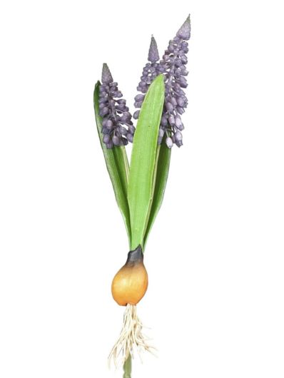 SZAFIREK Z CEBULKĄ  X3 BUKIET GUMA 20CM VIOLET