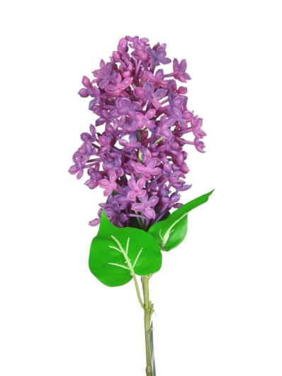 BEZ GAŁĄZKA GUMA 56cm PURE VIOLET