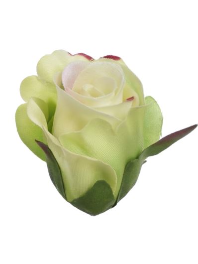 RÓŻA GŁÓWKA PĄK 3CM SUN421 LT GREEN EDGE PINK