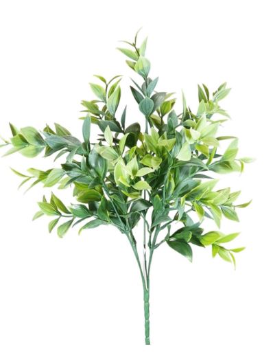 RUSKUS BUKIET 5 GAŁ. 36CM POWDER GREEN
