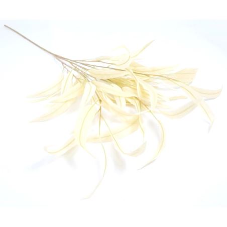 EUKALIPTUS LIŚCIASTY GAŁĄZKA 100CM CREAM