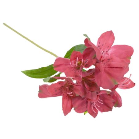 ASTROMERIA GAŁĄZKA 46CM OLD BEAUTY