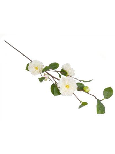 CAMELIA JAPOŃSKA GAŁĄZKA 91CM CREAM WHITE