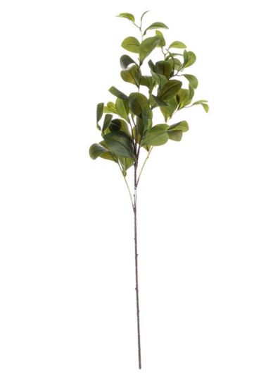 CYTRUSOWE LIŚCIE GAŁĄZKA 92CM