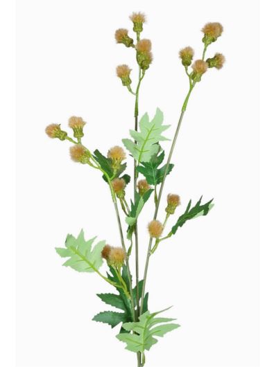 TANACETUM x3 GAŁĄZKA 70CM BEDGE