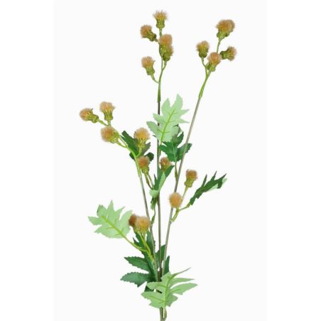TANACETUM x3 GAŁĄZKA 70CM BEDGE