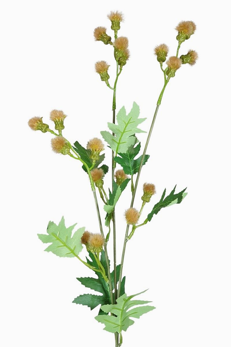 TANACETUM x3 GAŁĄZKA 70CM BEDGE