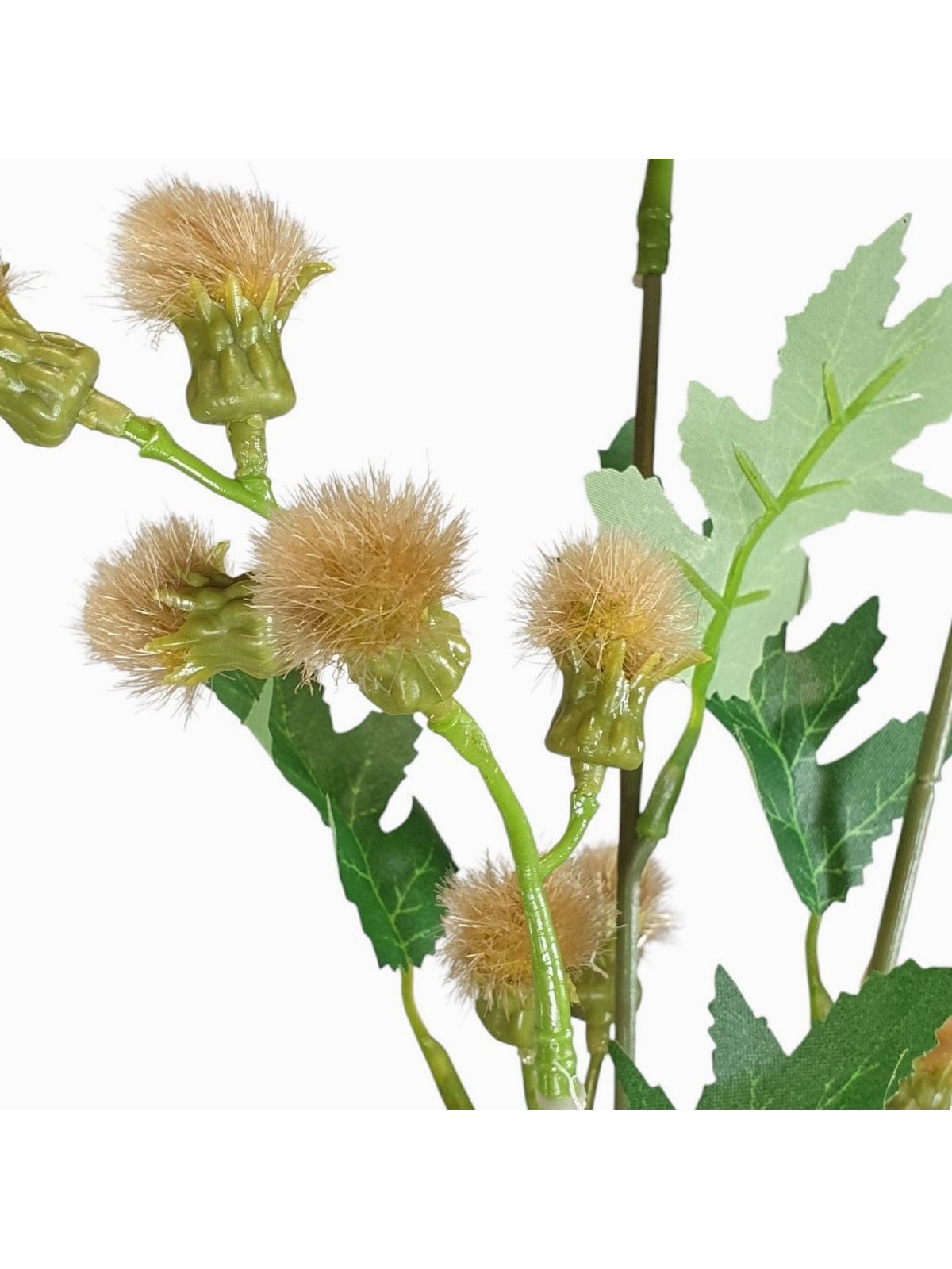 TANACETUM x3 GAŁĄZKA 70CM BEDGE