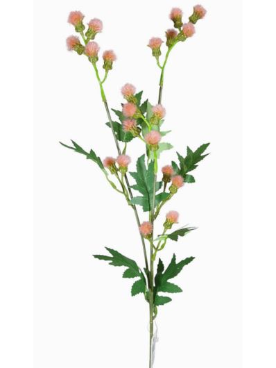 TANACETUM x3 GAŁĄZKA 70CM PINK