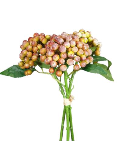 SAMBUCUS CZARNY BEZ x3 PĘCZEK 30CM GREEN PINK