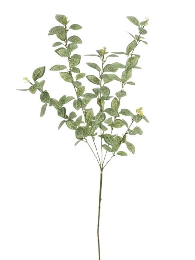 FITONIA - MIĘTA  GAŁĄZKA 89CM  EUK002 LT GREEN