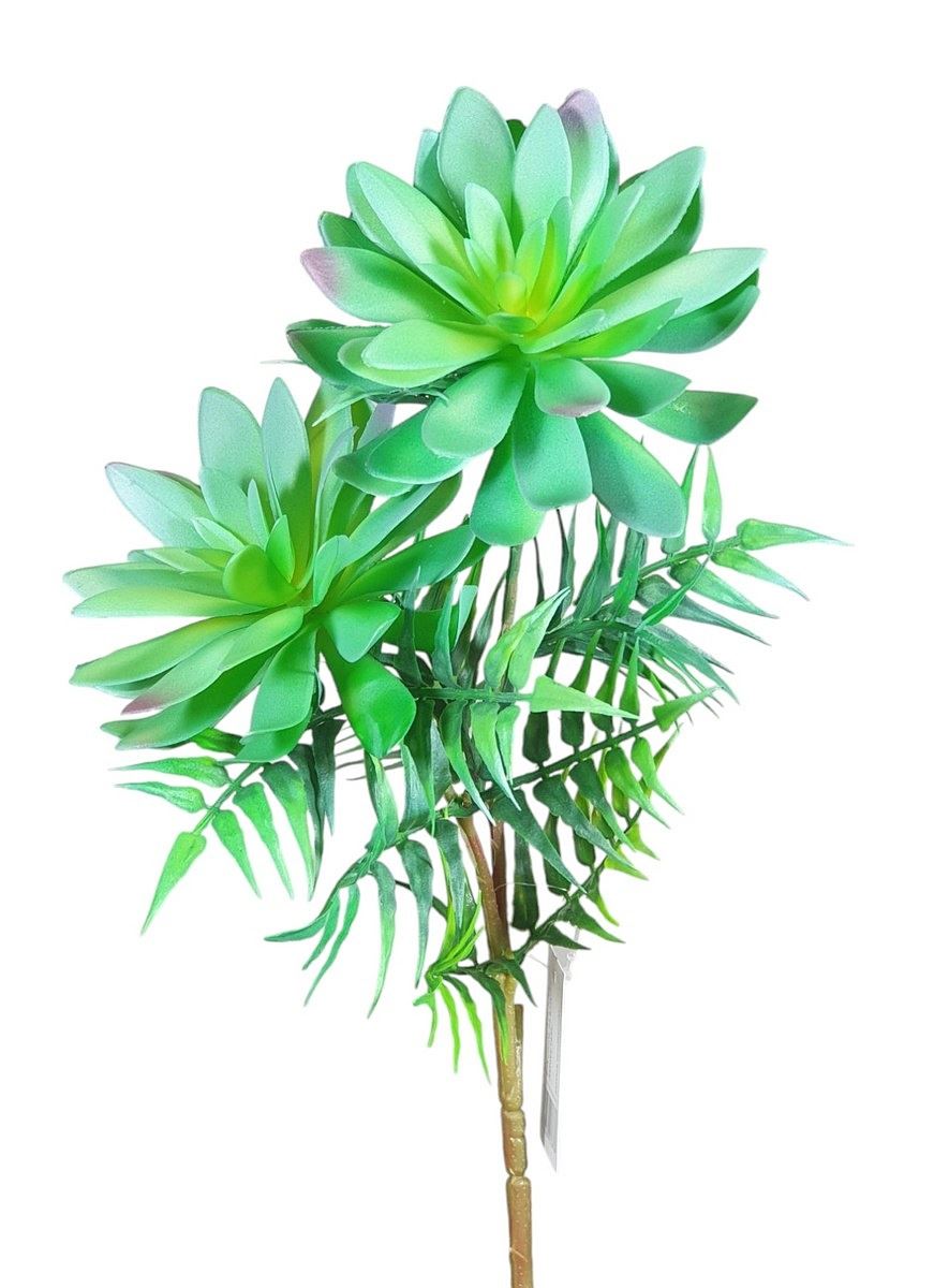 SUKULENTY NA GAŁĄZCE 42CM GREEN BLUE