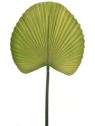 LIŚĆ PALMY 55CM JUN045 GREEN