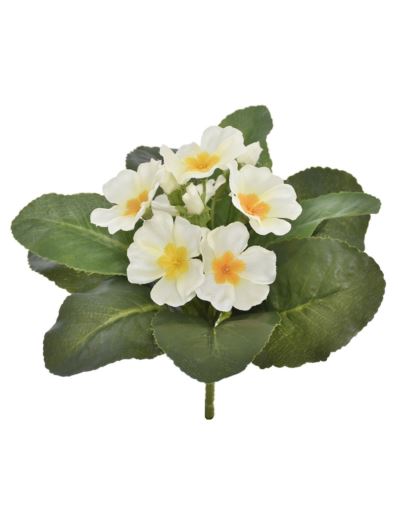 PRYMULKA BUKIECIK 20CM FMN1016 (1) CREAM