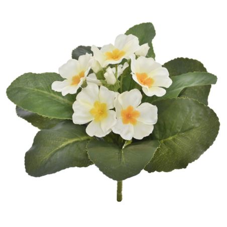 PRYMULKA BUKIECIK 20CM FMN1016 (1) CREAM