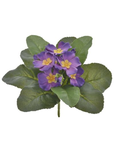 PRYMULKA BUKIECIK 20CM FMN1016 (1) DR PURPLE