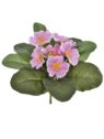PRYMULKA BUKIECIK 20CM FMN1016 (1) PINK