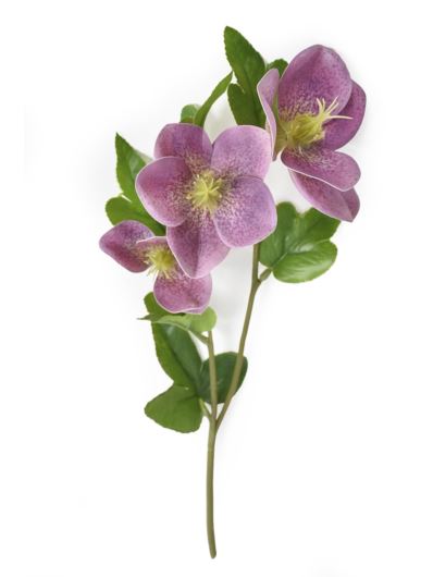 CIEMIERNIK GAŁĄZKA 38CM WEI1023 (1) MAUVE