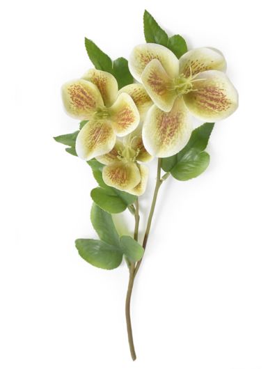 CIEMIERNIK GAŁĄZKA 38CM WEI1023 (1) GREEN