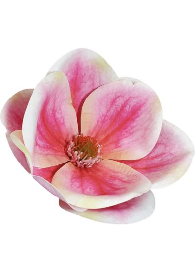 MAGNOLIA GŁOWA 15CM WEI1017 RT CREAM PINK