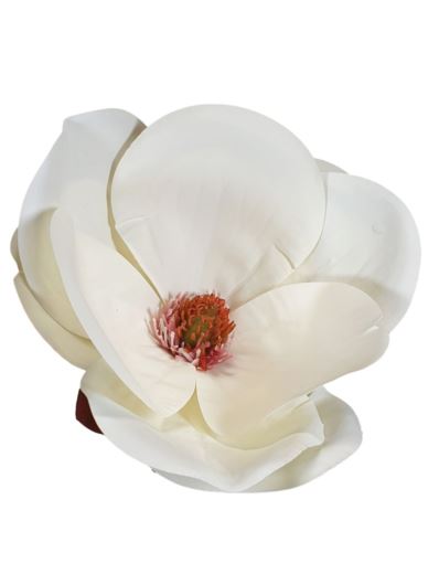 MAGNOLIA GŁOWA 15CM WEI1017 RT CREAM