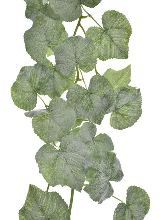 GIRLANDA WINOROŚL 160CM BL066 POWDER  REEN